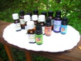 Tea Tree Essential Oil